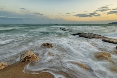 우엉차의 모든 것: 효능과 역사로 풀어보는 건강의 비밀