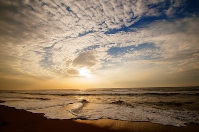 체리의 영양 성분: 비타민과 미네랄이 가득한 자연의 보물