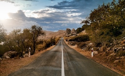 우엉차의 모든 것: 효능과 역사로 풀어보는 건강의 비밀