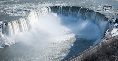 우엉차: 건강에 좋은 자연의 선물과 그 성분
