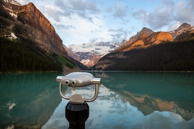 우엉차의 모든 것: 효능과 역사로 풀어보는 건강의 비밀