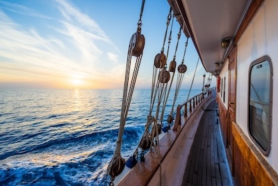 우엉차: 건강에 좋은 자연의 선물과 그 성분